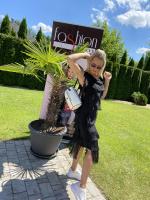 Nov zbo 6.7.2021 nov zbo...